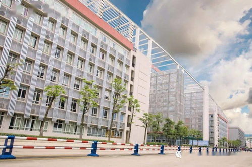 廣東食品藥品職業學院2021年五年一貫制高職班招生簡章